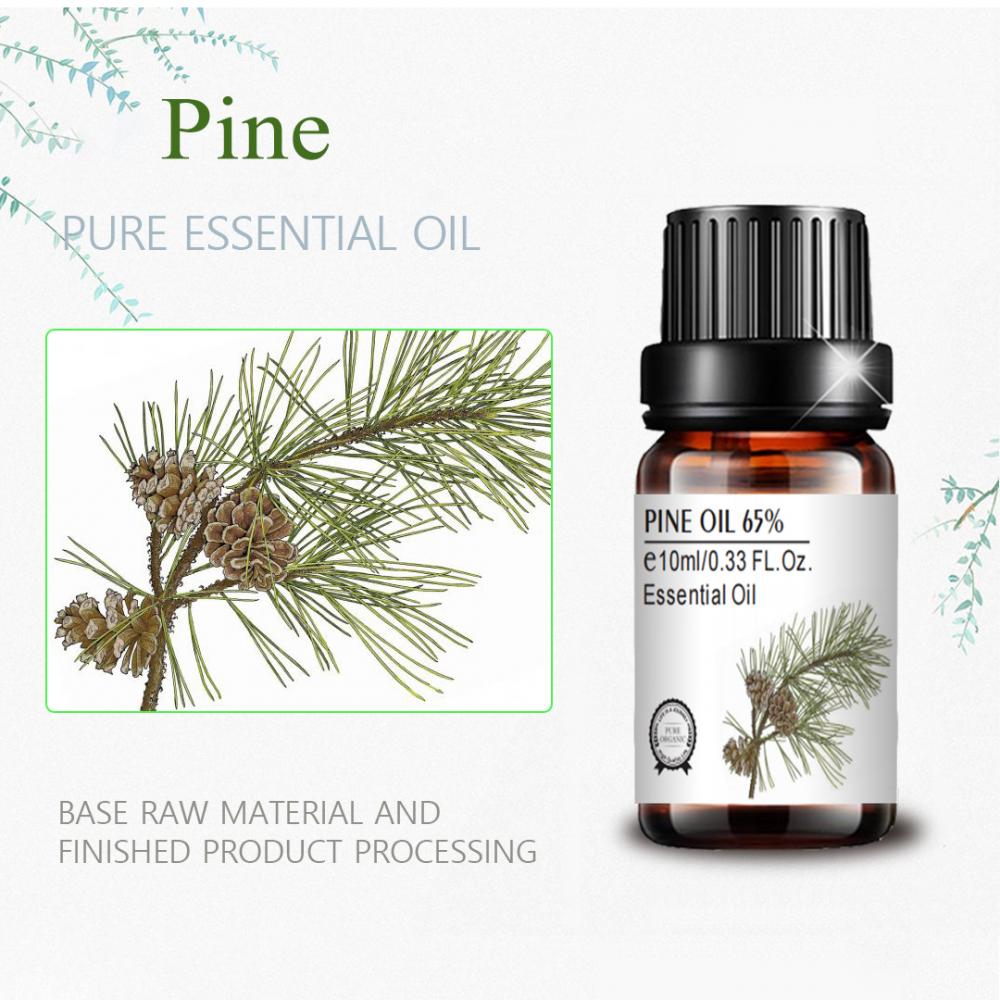 Aceite de pino de etiqueta privada a granel al por mayor 65% Pine Essential Oil