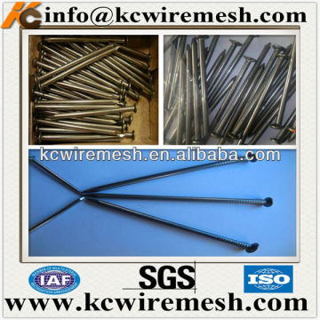 Kangchen common wire nails factory from Anping !!!!!!!!