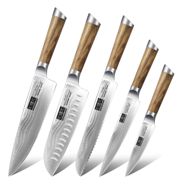 New Design: 73-Layer Damascus Steel Powdered Kitchen Knife with Olive Wood Handle for Vegetables