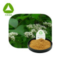 Lycopus Lucidus Extract Powder 10: 1