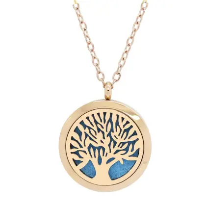 Exquisite Essential oil Diffusion Necklace