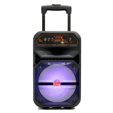 Promotion: 8 Inch Sound System Speaker with Trolley and Battery - High Powered Portable Parlantes