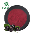 Acai dehydrated berry powder powder Bulk