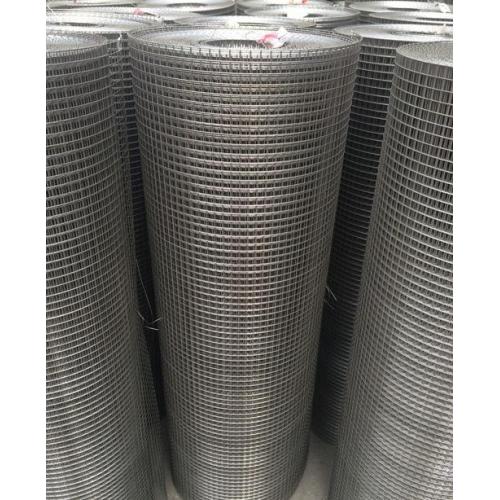 Galvanized Welded Wire Mesh in roll