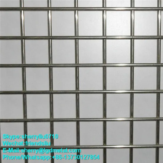 welded wire net factory----WMSL003