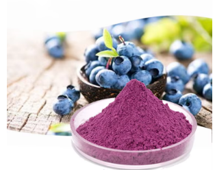 best organic blueberry supplement