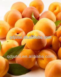 Canned apricot for wholesale/canned apricot halves in syrup