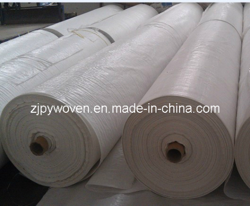 Coated Polypropylene Woven Fabric Roll (PY1-15)