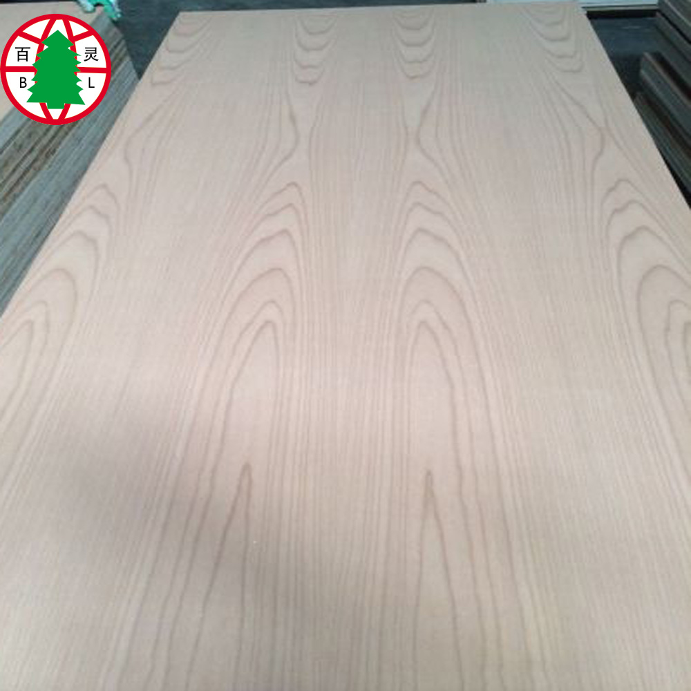 Beech Plywood 16