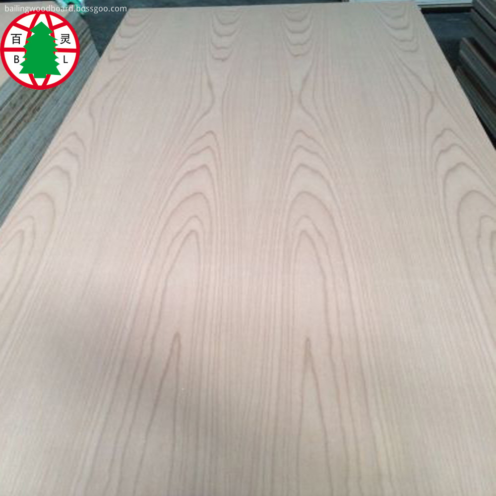 Beech Plywood 16