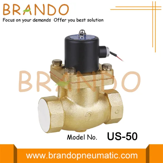 UniD US-50'' 2 Way Brass Steam Solenoid Valve 12V 24V 110V