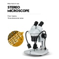 C 100V-240V Wide Range Binocular Stereo Microscope