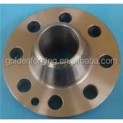 Steel Forging large Flange