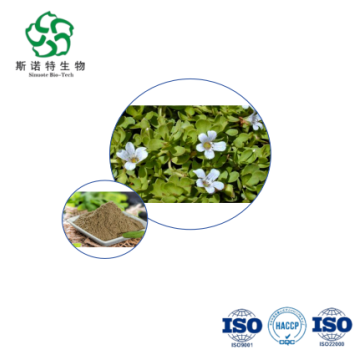 Portulaca oleracea L. Extract Capsule 10:1 Antioxidant Formula