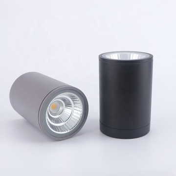 IP65 Downlight Hidden Camera