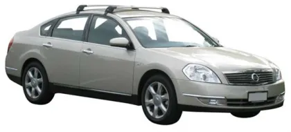 Luggage rack crossbar roof rack for maxima