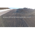 Polyester Geogrid Embankment Stabilization