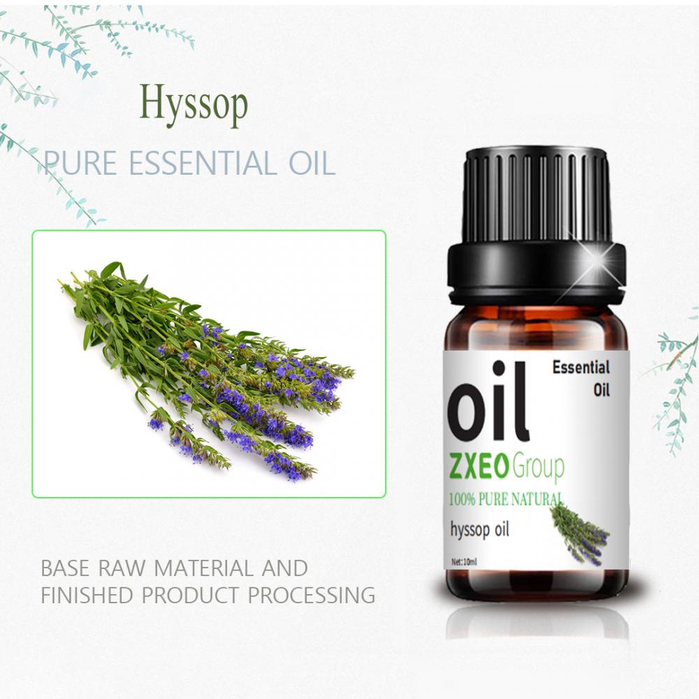 Rótulo personalizado Pure Natural Organic Hyssop Óleo essencial
