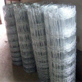 wholesale cattle wire mesh fence galvanized grassland fence