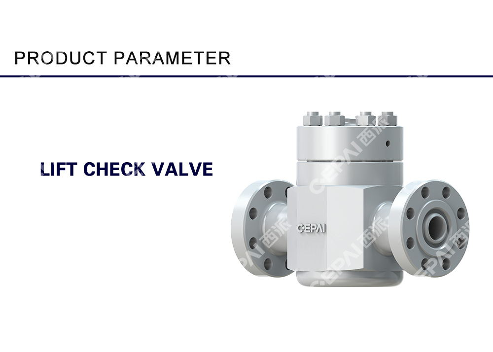 Lift Check Valve