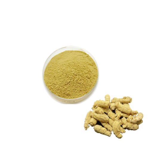 Panax Ginseng extract ginsenosides