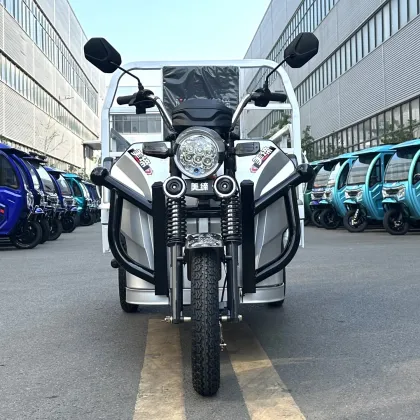 Meidi Wholesale Price Trike Electric Tricycle for Cargo