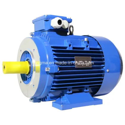 Jw Friction Horse Power Three Phase Asynchronous Induction High Efficiency Electric Motor