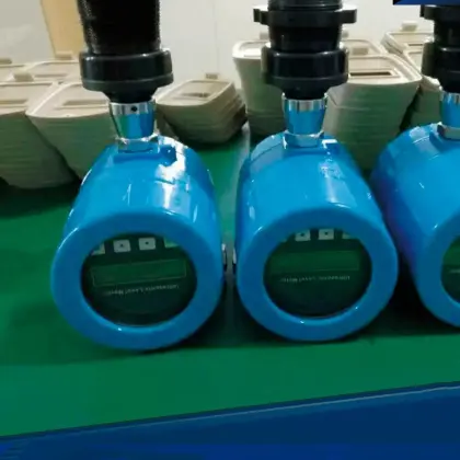 Integrated ultrasonic level gauge sensor