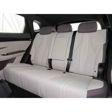 Comfortable byd song plus ev