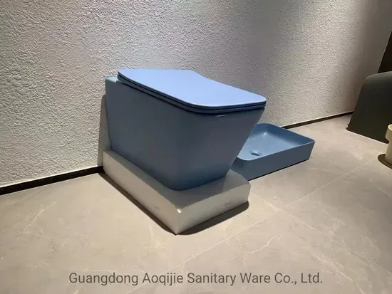 White Tank Wall Hung Toilet with Blue Basin