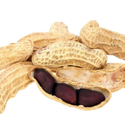 Organic Raw Black Color Skin Black Peanut Raw Peanut Nuts