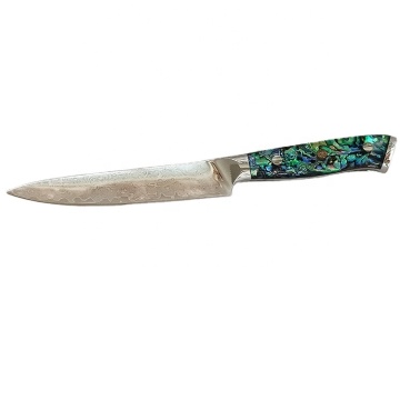 67 strati Damasco Steel Chef Knife con impugnatura di abalone ergonomico - professionista all'ingrosso
