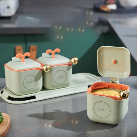 Wholesale Hot Selling Refillable Plastic Lid Spice Dispenser for Kitchen