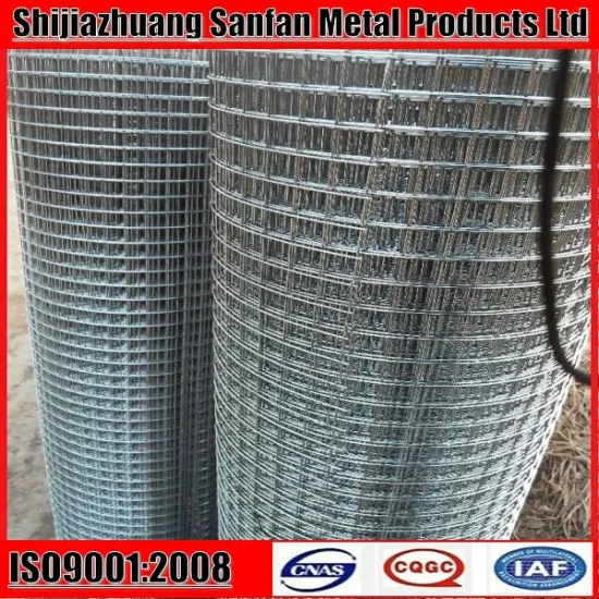 cheap galvanized welded rabbit cage wire mesh