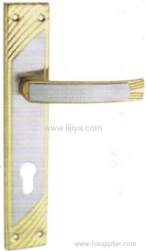 Privacy Magnetic Lock Set 