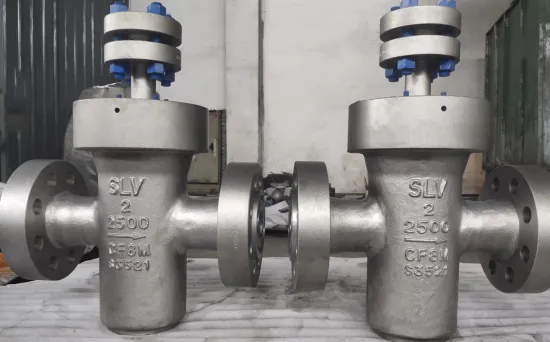 2" 2500LB CF8M Basket Strainer