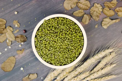 Green Beans Foods Products