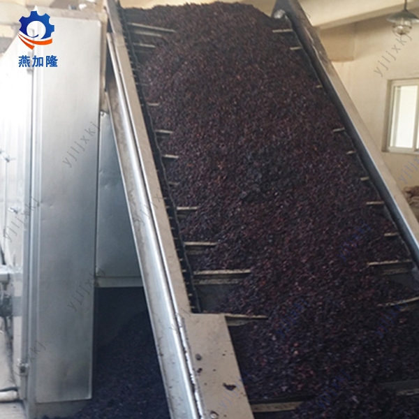 Microwave Belt Dryer Mango Drying Machine