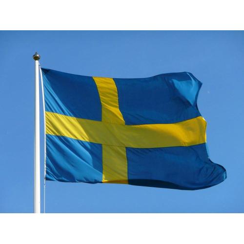 Custom Size Sweden Promotion National Banner Flags