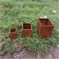 Pottes de jardin Corten Steel Pots