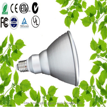 55W LED Bulbs  big power