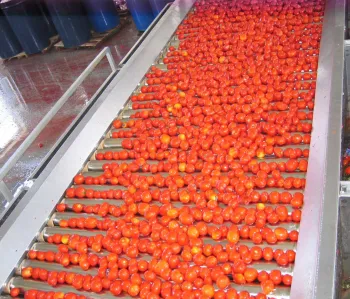 Auto Easy-to-Operate Tomato Paste Making Machine for Small Production Lines