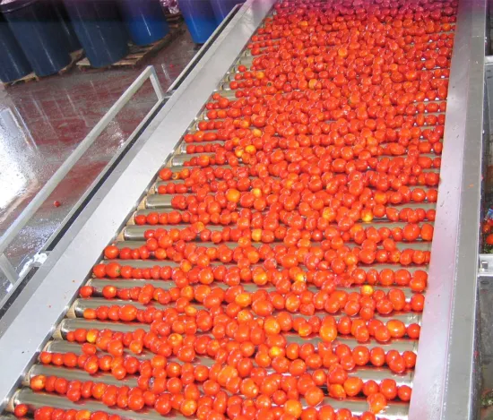 Auto Easy-to-Operate Tomato Paste Making Machine for Small Production Lines