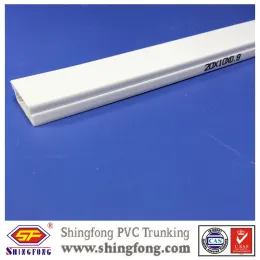 Mauritius Ghana Africa market pvc cable trunking 25x16