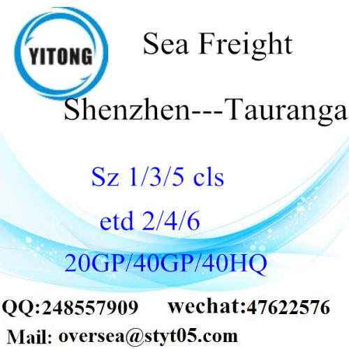 Shenzhen Port Sea Freight Shipping To Tauranga