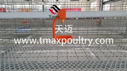 SHINE Chicken Drinker System