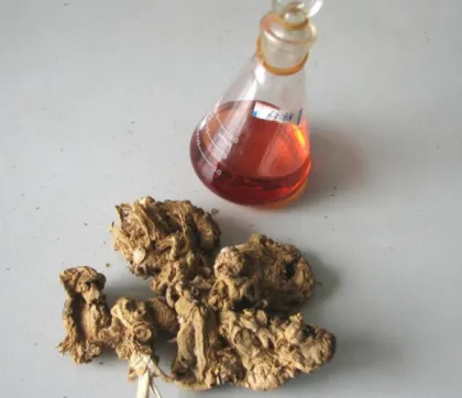 essential oil for body care