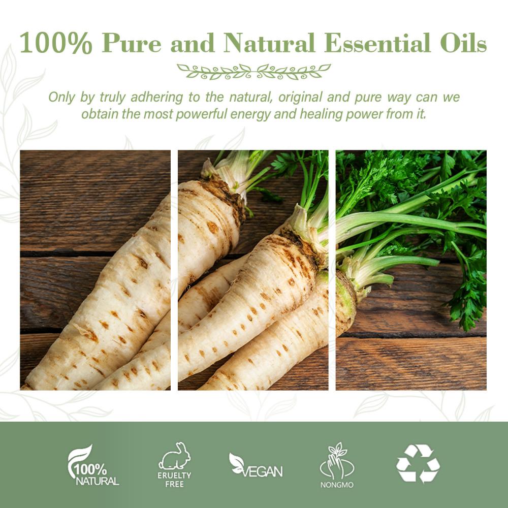 Best Quality Pure Windproof Oil Parsnip oil Saposhnikovia Divaricata Extract