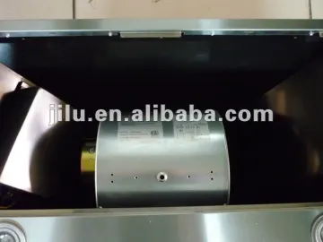 Professional Built in/ insert range Hood