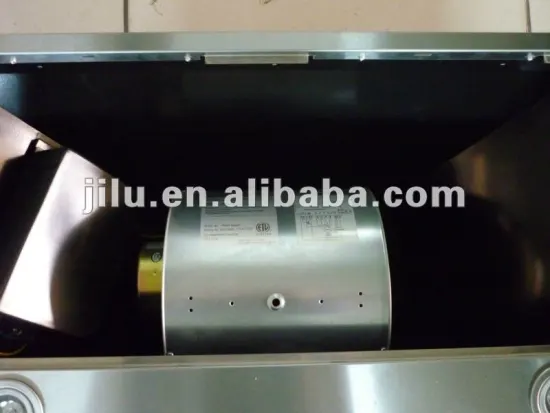 Professional Built in/ insert range Hood